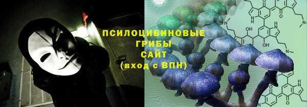 шишки Аша