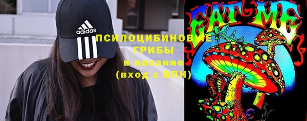 ПСИЛОЦИБИНОВЫЕ ГРИБЫ Наволоки
