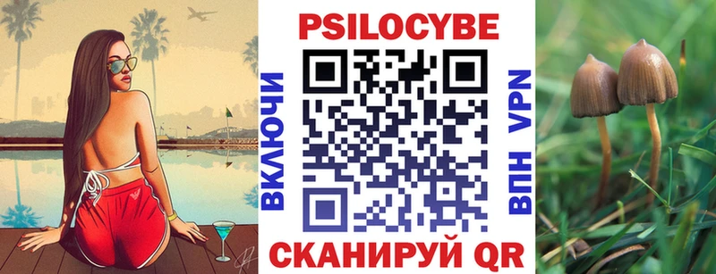 Галлюциногенные грибы Psilocybe  Богданович 